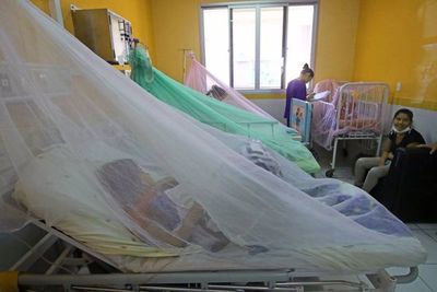 Dengue: Autoridades pudieron prevenir y no esperar que explote la epidemia