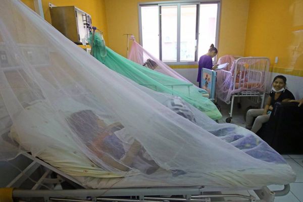 Dengue: Autoridades pudieron prevenir y no esperar que explote la epidemia