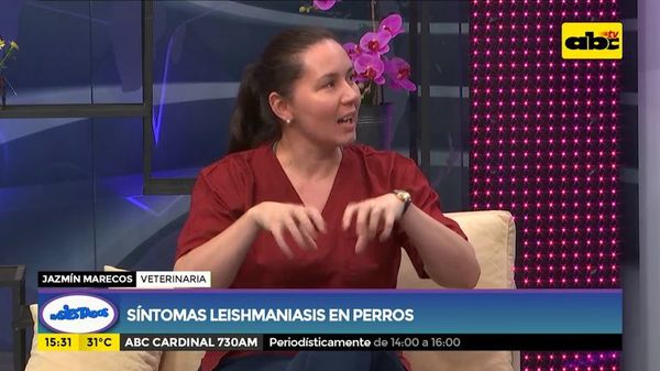 ¿Qué es la Leishmania? - Ensiestados - ABC Color