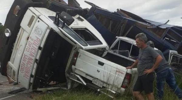 Mueren cuatro caballos de la Policía Nacional en accidente de tránsito