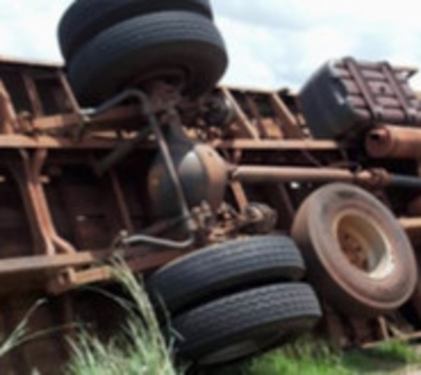 Muere 4 caballos durante accidente de tránsito.  - Paraguay.com