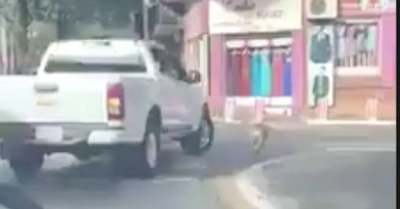 Móvil de la Muni abandonó a un perrito