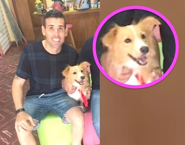Crónica / Camarasa, tratado de figuretti por animaleros