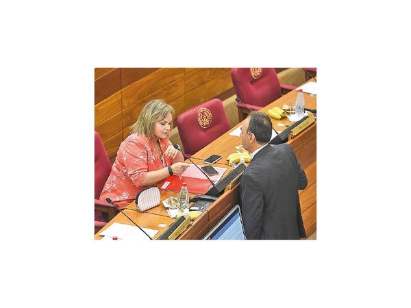 Lilian insiste con politizar servicio diplomático y consular