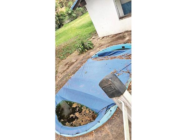 Piscina abandonada está llena de larvas