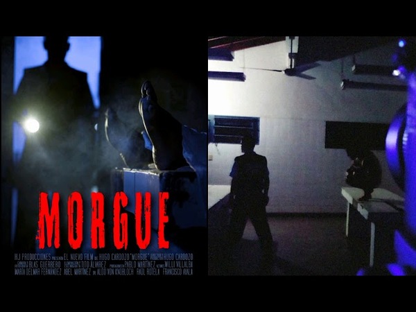 Escritor de Bird Box producirá una nueva versión en inglés de película encarnacena Morgue