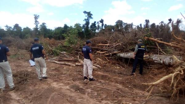 Intervienen desmonte en Caazapá - ADN Paraguayo