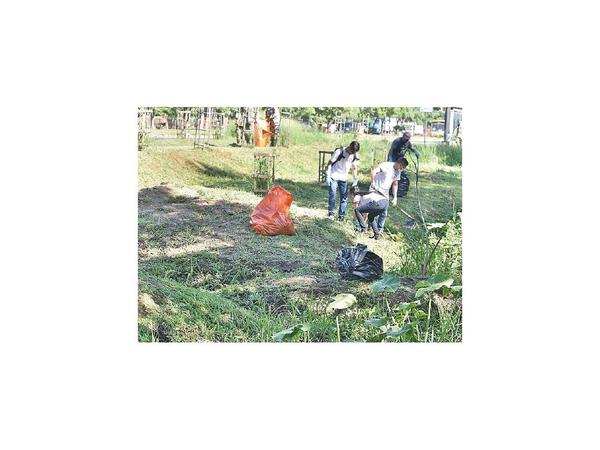 Combaten criaderos en el Parque Guasu