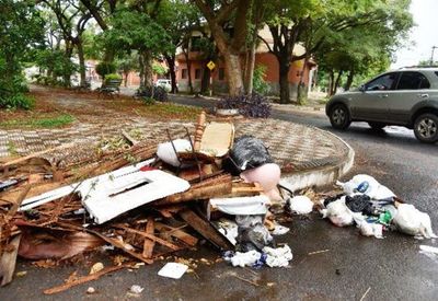 Quemar la basura  o dengue - Lectores Opinan - ABC Color