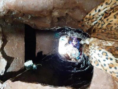 Se fugan 75 reos de la cárcel pedrojuanina •