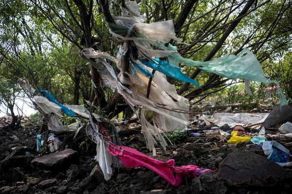 China prohibirá ciertos plásticos de un solo uso para reducir los desechos contaminantes - Mundo - ABC Color