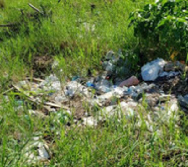 Baldío con basuras y malezas en Luque  - Paraguay.com
