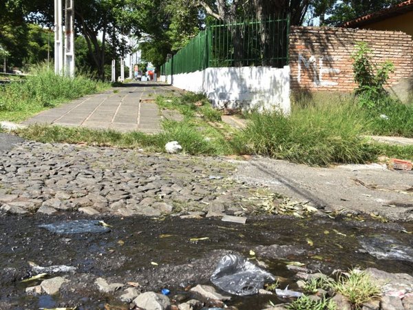 Escuelas son potables criaderos del Aedes