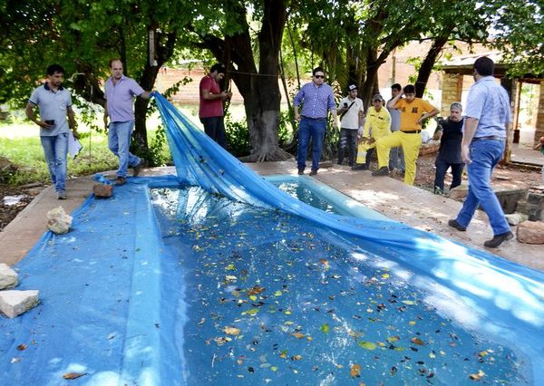 Eliminan criaderos en barrios de San Antonio - Locales - ABC Color