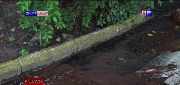 Agua desperdiciada: Hay mil caños rotos sólo en Asunción | Noticias Paraguay