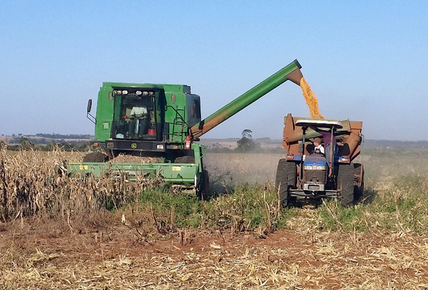 Inició la cosecha de soja con muy buen rendimiento por hectárea | .::Agencia IP::.