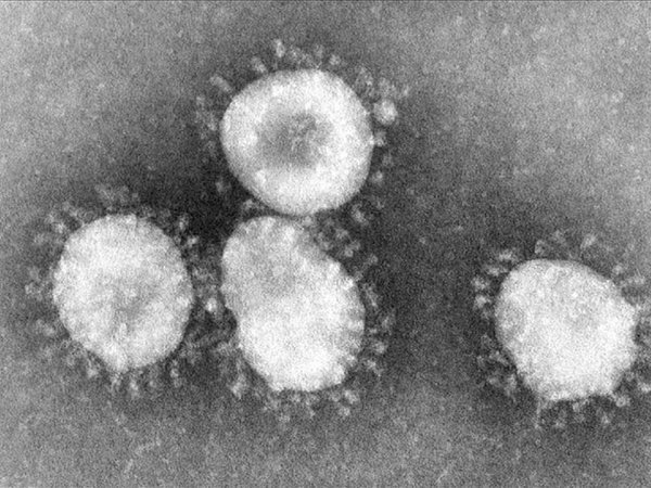 Detectan el primer contagiado por el virus de Wuhan en Estados Unidos