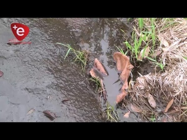 VECINOS DENUNCIAN PÉRDIDA DE AGUA EN B° BERNARDINO CABALLERO