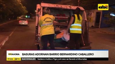 Basuras adornan barrio Bernardino Caballero - ABC Noticias - ABC Color
