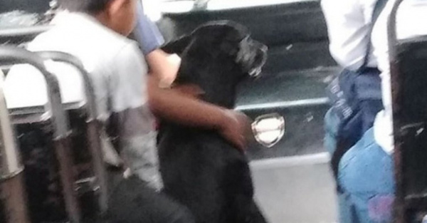 No le cobraron pasaje al perro