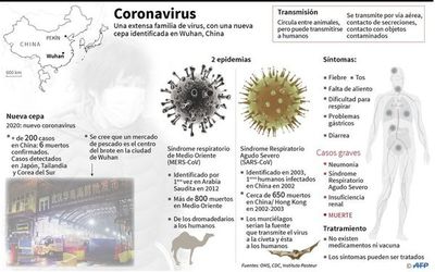 Toda Asia en alerta por virus que hace temer crisis sanitaria mundial - Internacionales - ABC Color