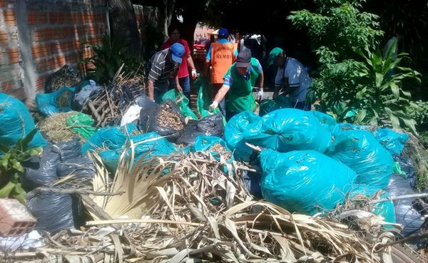 Tormentas y calor para hoy, ambiente que ayuda al aedes - Locales - ABC Color