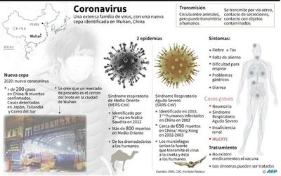 China confirma seis muertes y 300 casos de nuevo virus