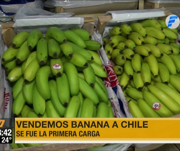 Paraguay exporta por primera vez banana a Chile