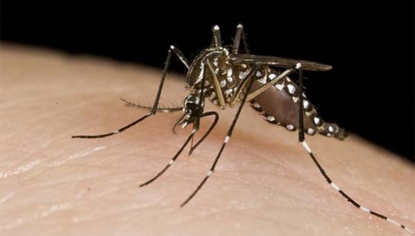Hay un probable caso de Dengue Hemorrágico en Concepción | Radio Regional 660 AM