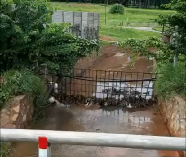 HOY / Denuncian a complejo por vertido en arroyo