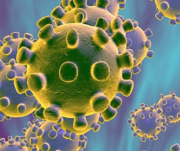 La salud mundial en alerta por casos de coronavirus y arenavirus