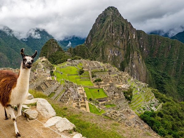 Condenan a turista argentino que causó daños en Machu Picchu
