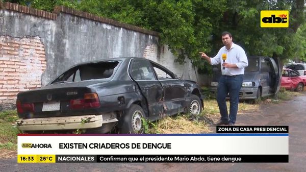 Hasta en zona de casa presidencial existen criaderos de mosquitos - ABC Noticias - ABC Color