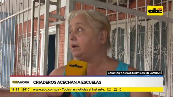 Criaderos acechan escuelas - ABC Noticias - ABC Color