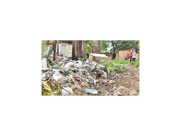 Basural, foco de larvas en el Parque Caballero