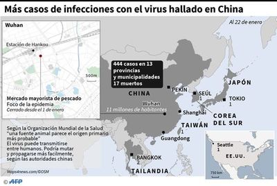 Casos confirmados y sospechosos de mortífero virus en América Latina - Internacionales - ABC Color