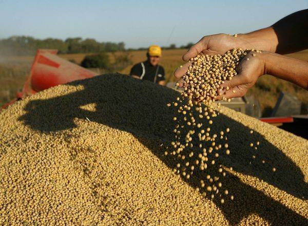 Argentina fue el destino del 69% de envíos de soja