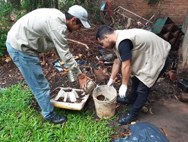 De 100 casas intervenidas en Asunción 95 tenían criaderos