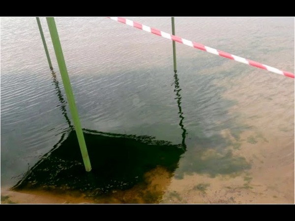 PREOCUPA PRESENCIA DE ALGAS VERDES EN PLAYA PIRAYÚ DE CARMEN DEL PARANÁ