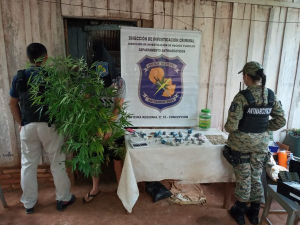 Policía decomisa marihuana picada en Horqueta   - Nacionales - ABC Color