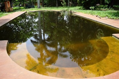 Dengue: Fiscalía allana criaderos en Cuarto Barrio •