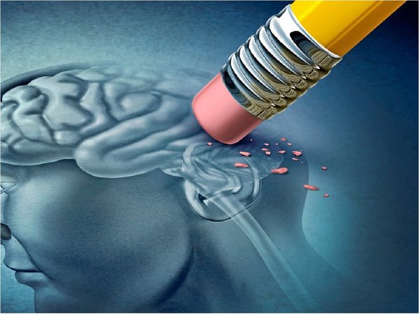 Descubren que una proteína revierte patologías asociadas a alzhéimer