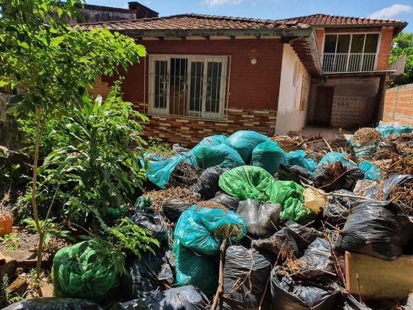 Imputan a propietarios de inmuebles sucios y con criaderos de mosquitos | Noticias Paraguay