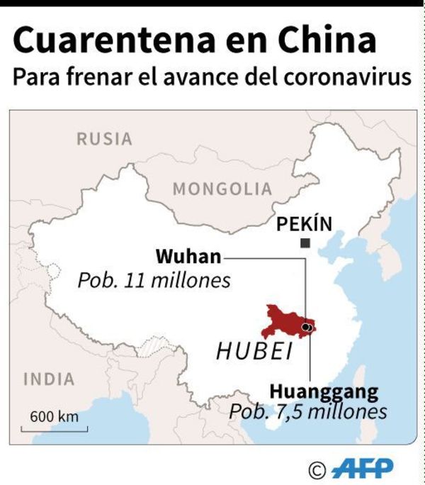 “Demasiado pronto” para declarar emergencia internacional por coronavirus - Mundo - ABC Color