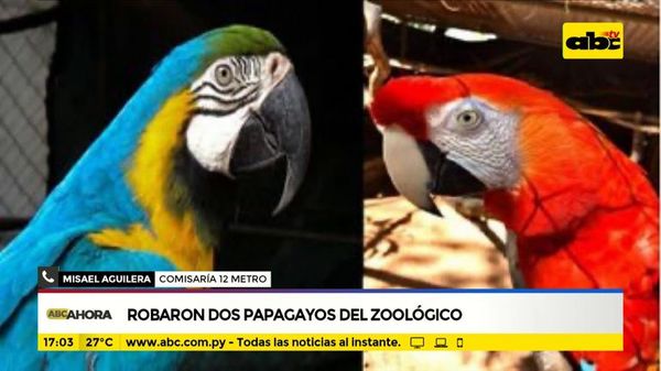 Robaron dos papagayos del Botánico - ABC Noticias - ABC Color