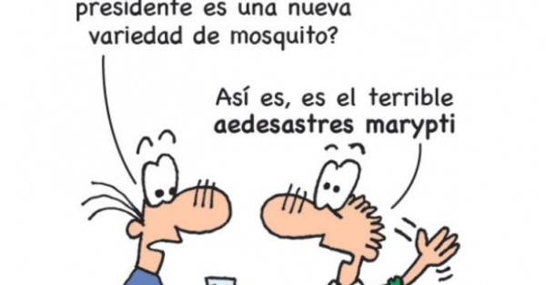 YOR – Aedesastres