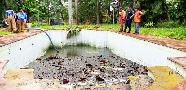 La fiscalía de Luque allanó una gran propiedad con criaderos - Locales - ABC Color