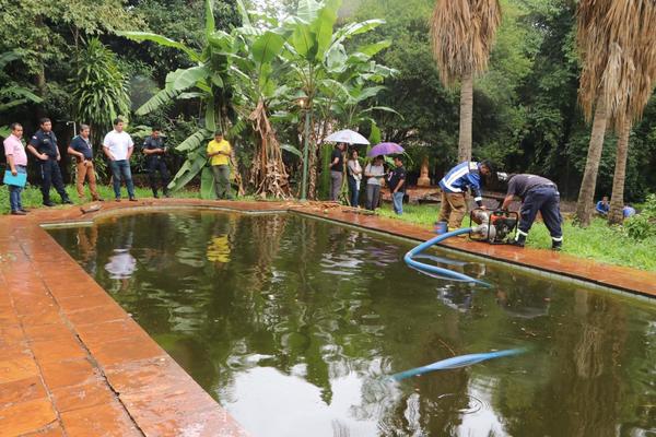 Fiscalía allanó propiedad con criaderos de mosquitos en Luque » Ñanduti