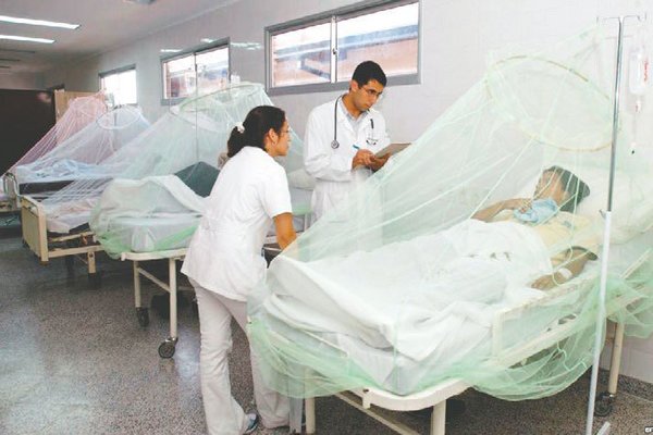 Ya son cuatro las muertes por dengue | Noticias Paraguay