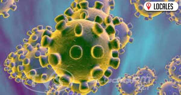 Coronavirus: Virus que se presenta tanto en humanos como en animales